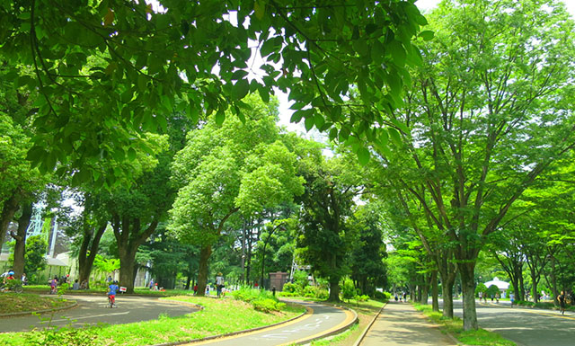 駒沢オリンピック公園