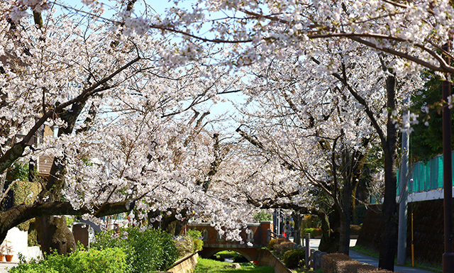 呑川親水公園